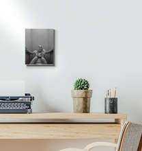 Load image into Gallery viewer, Product image
